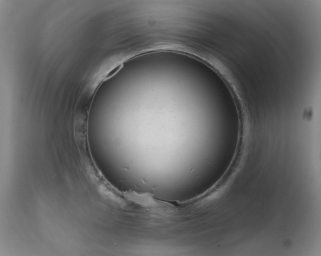 X0000110961001200906191308