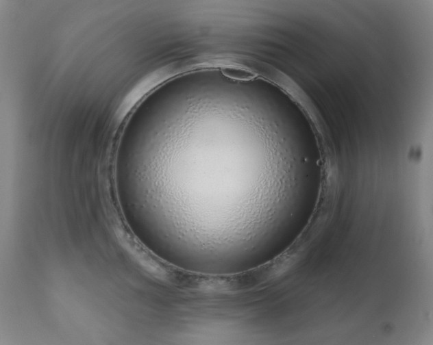 X0000110961002200906191308