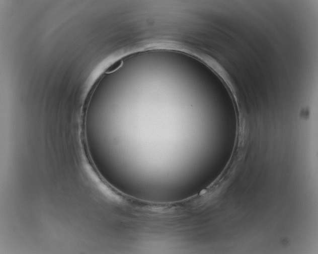 X0000110961005200906191307