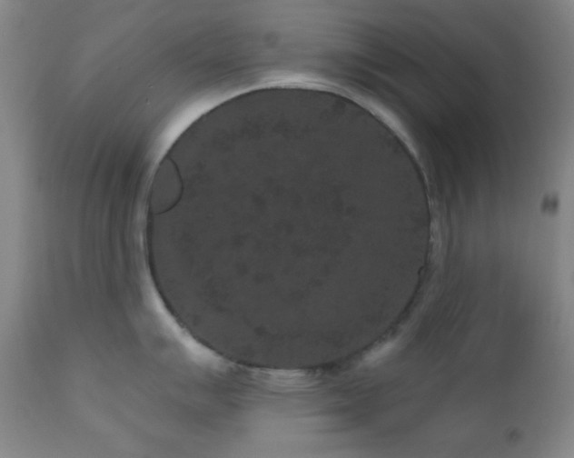 X0000110961007200906191307