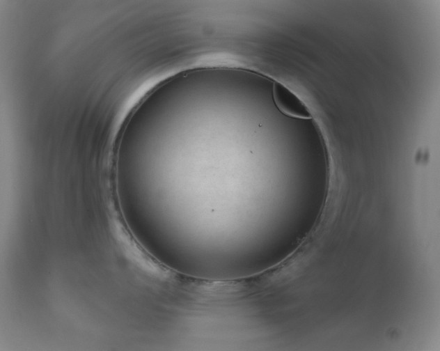 X0000110961008200906191307
