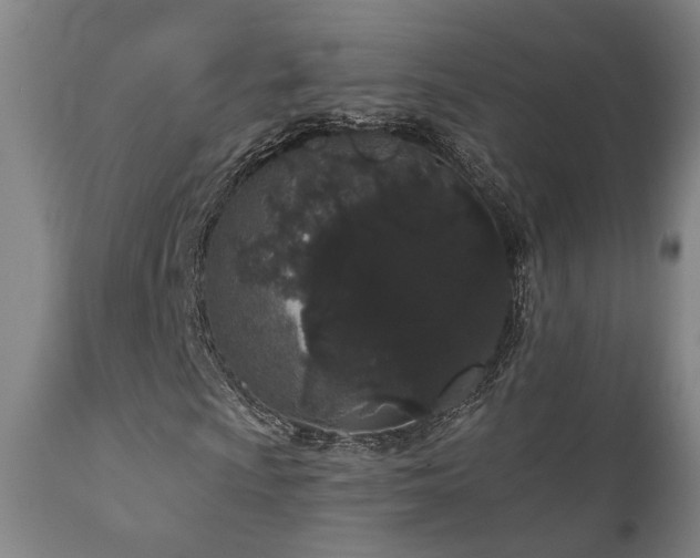 X0000110961009200906191307