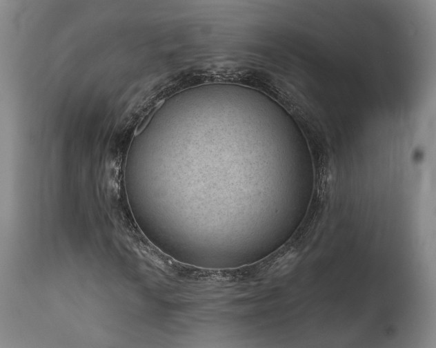 X0000110961010200906191307