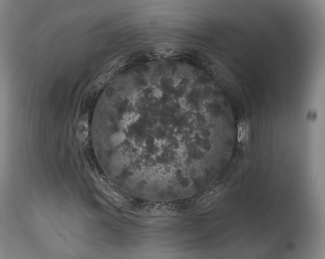 X0000110961011200906191307