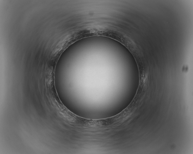 X0000110961012200906191307