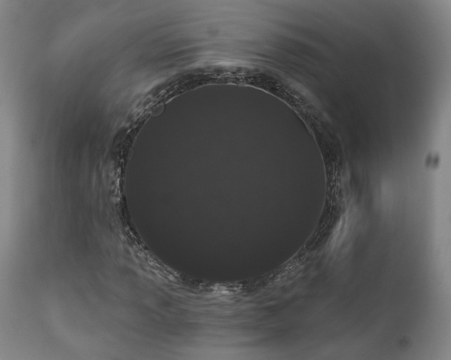 X0000110961013200906191307