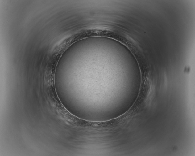 X0000110961014200906191307