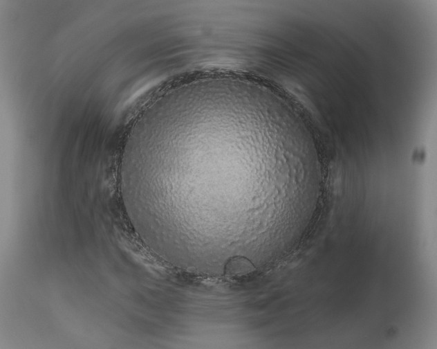 X0000110961015200906191307