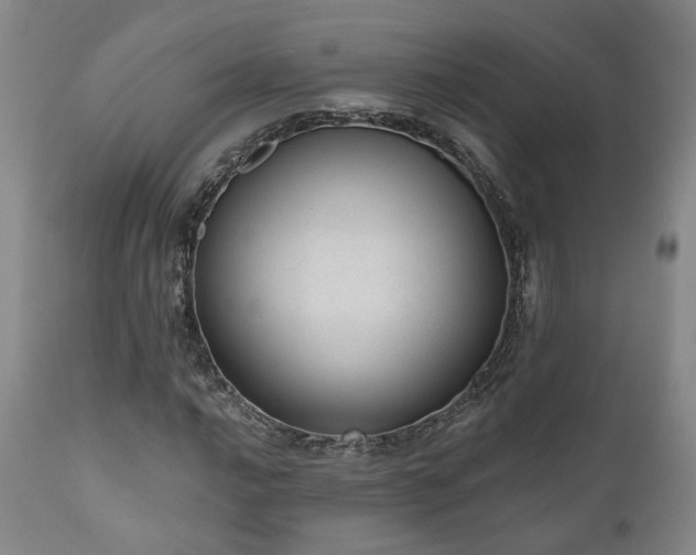 X0000110961016200906191307