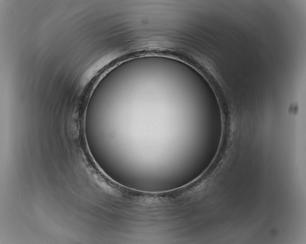 X0000110961018200906191307