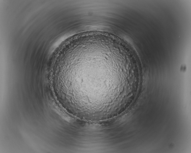 X0000110961019200906191307