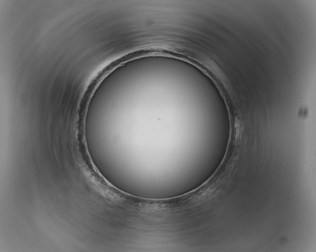 X0000110961020200906191307