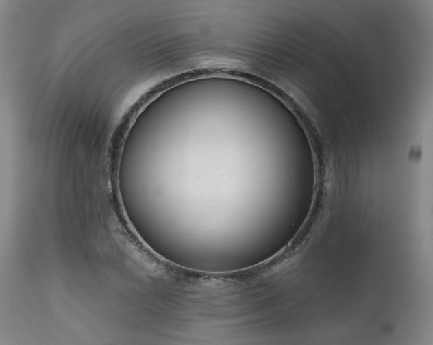 X0000110961022200906191307