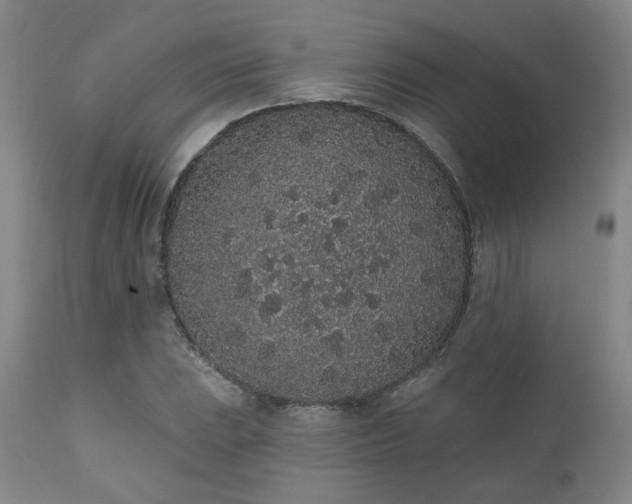 X0000110961023200906191307