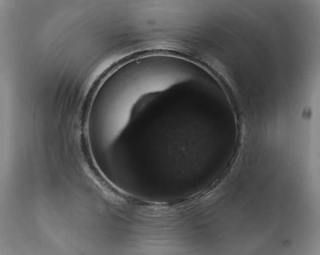 X0000110961024200906191307