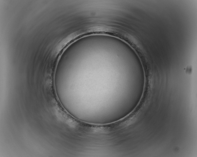 X0000110961025200906191307