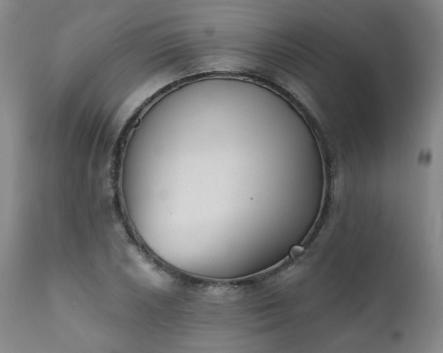 X0000110961026200906191307