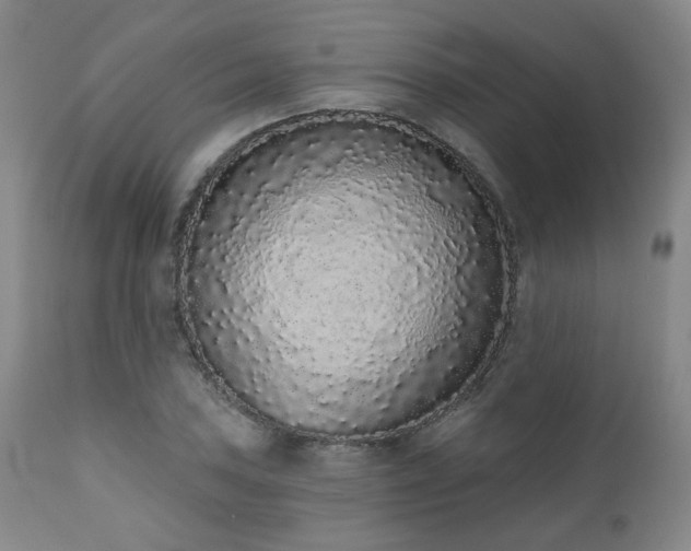 X0000110961027200906191307