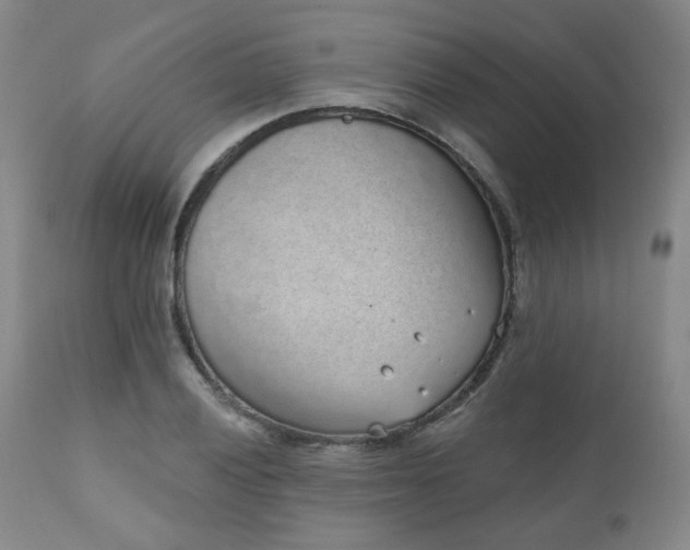 X0000110961028200906191307