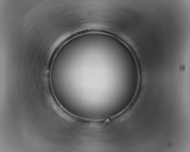 X0000110961029200906191307