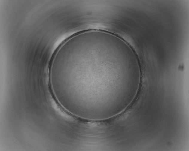 X0000110961032200906191307