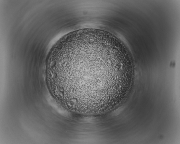 X0000110961035200906191307