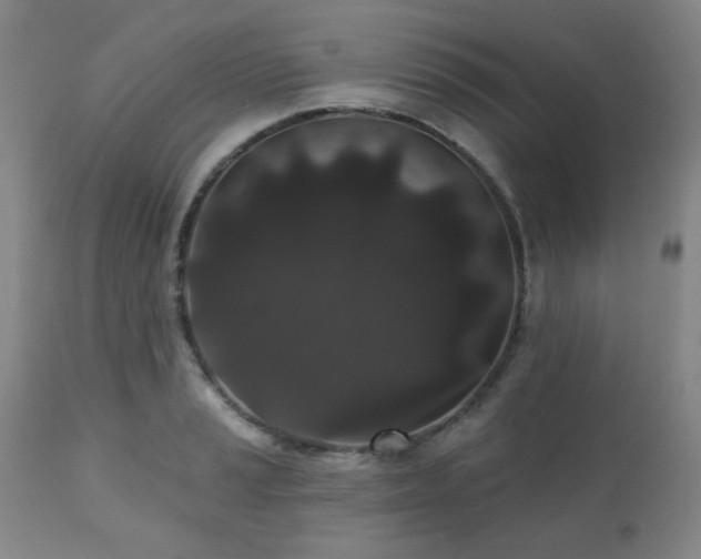 X0000110961037200906191307