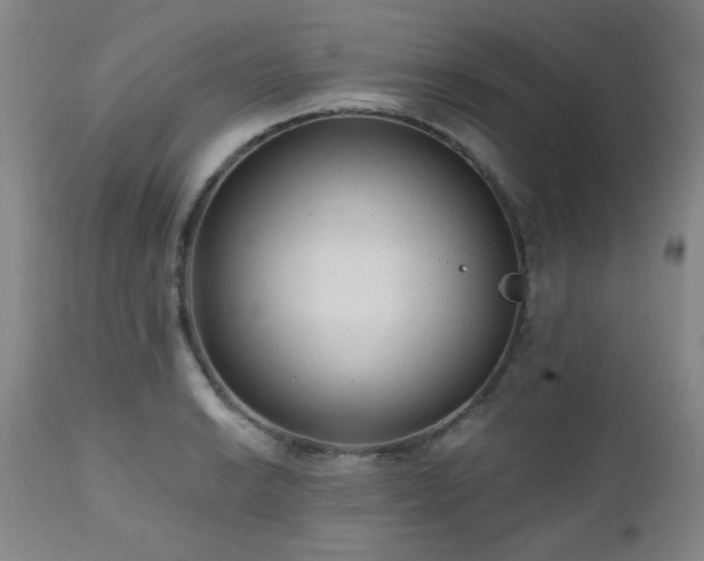 X0000110961038200906191307