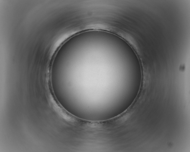 X0000110961040200906191307