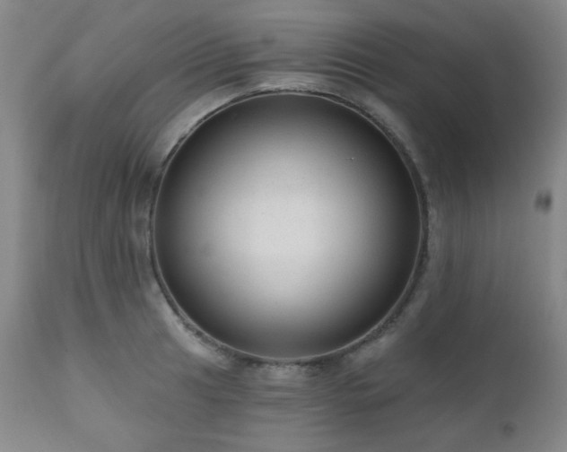 X0000110961041200906191307