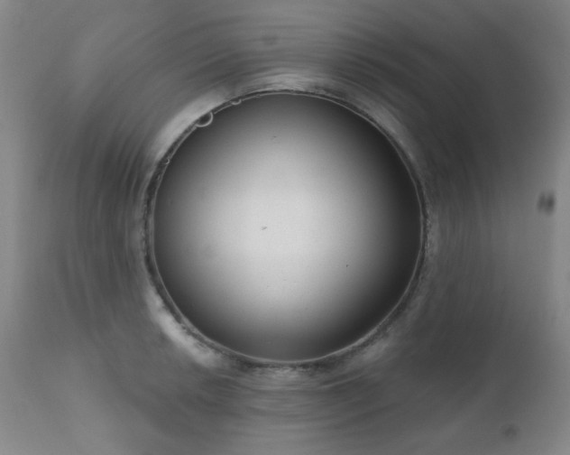 X0000110961042200906191307