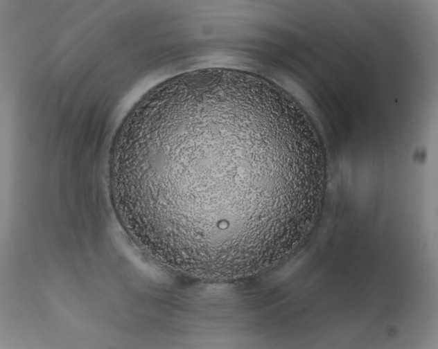 X0000110961043200906191307