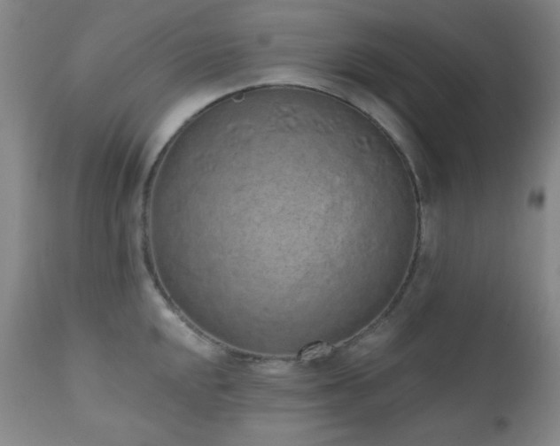 X0000110961048200906191307