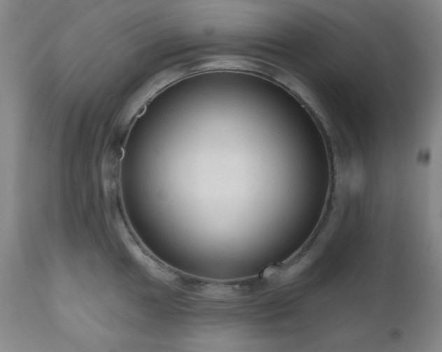 X0000110961049200906191307