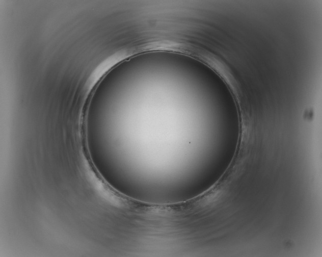 X0000110961050200906191307