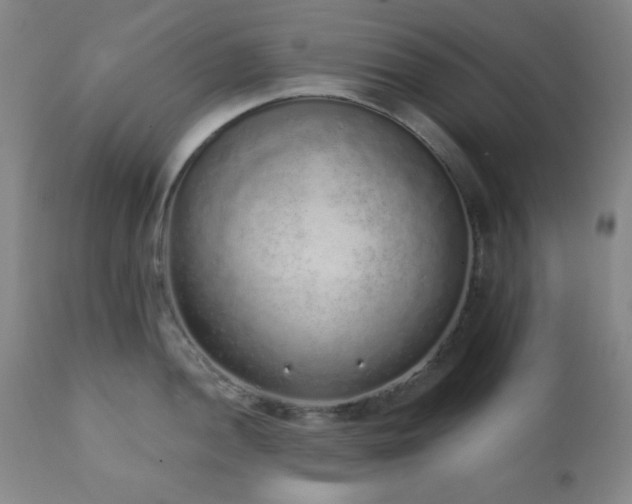 X0000110961052200906191307