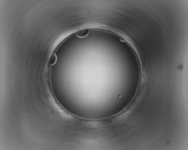 X0000110961053200906191307