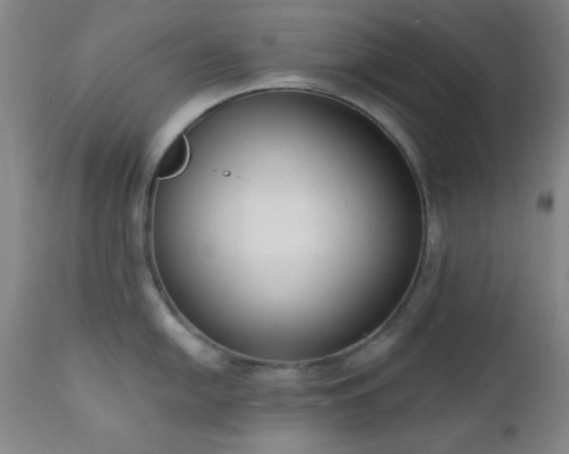 X0000110961054200906191307