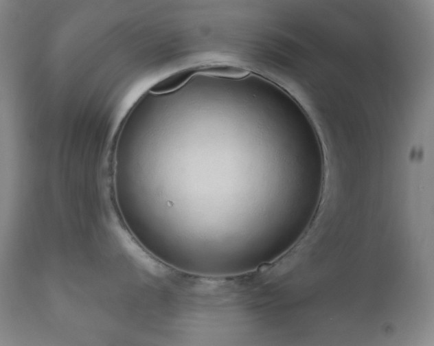 X0000110961056200906191307