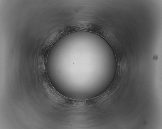 X0000110961058200906191307