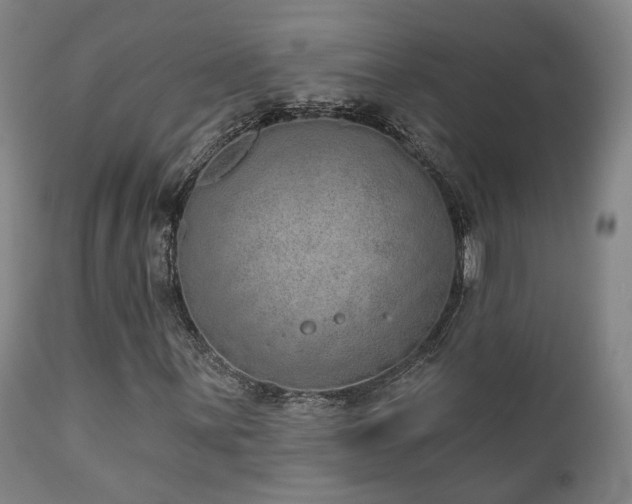 X0000110961059200906191307