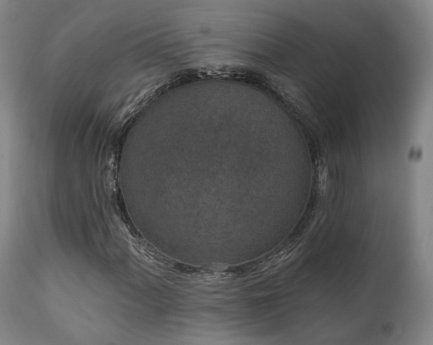 X0000110961060200906191307