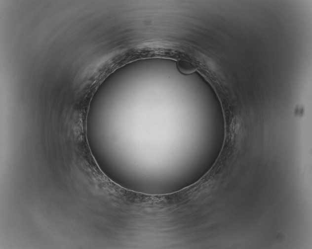 X0000110961062200906191307