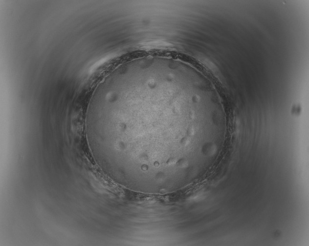 X0000110961063200906191307