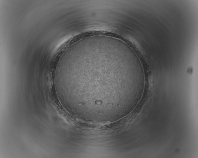 X0000110961064200906191307