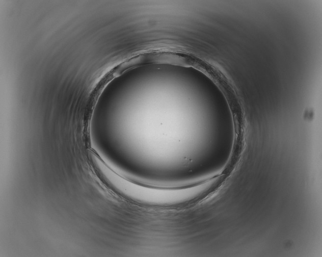 X0000110961065200906191307