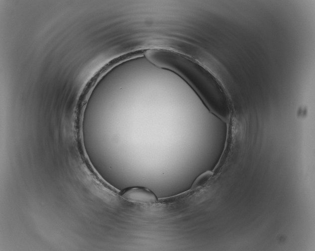 X0000110961068200906191306