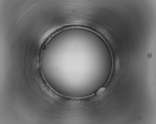 X0000110961069200906191306
