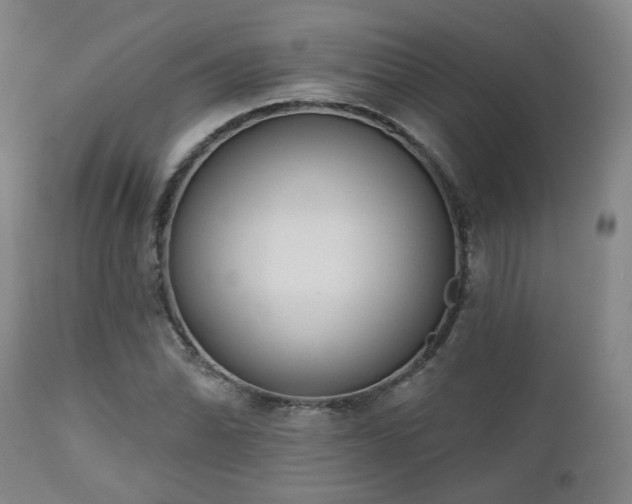 X0000110961070200906191306