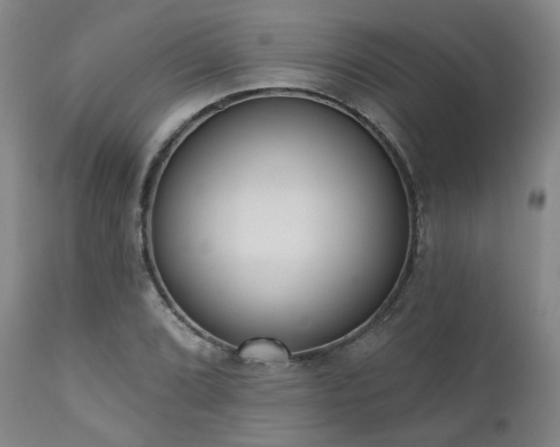 X0000110961072200906191306